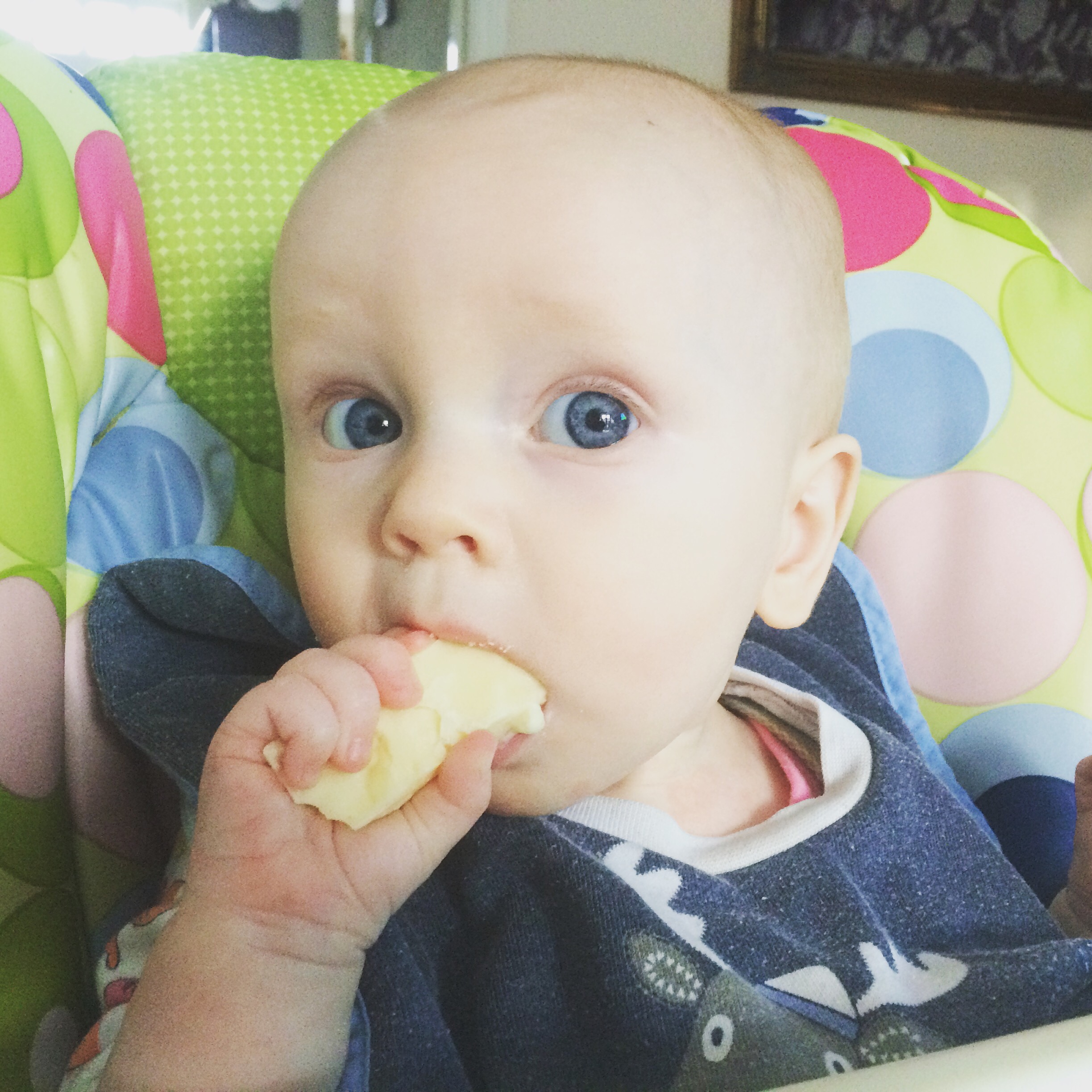 A baby that does not have CMPA eating a block of cheese