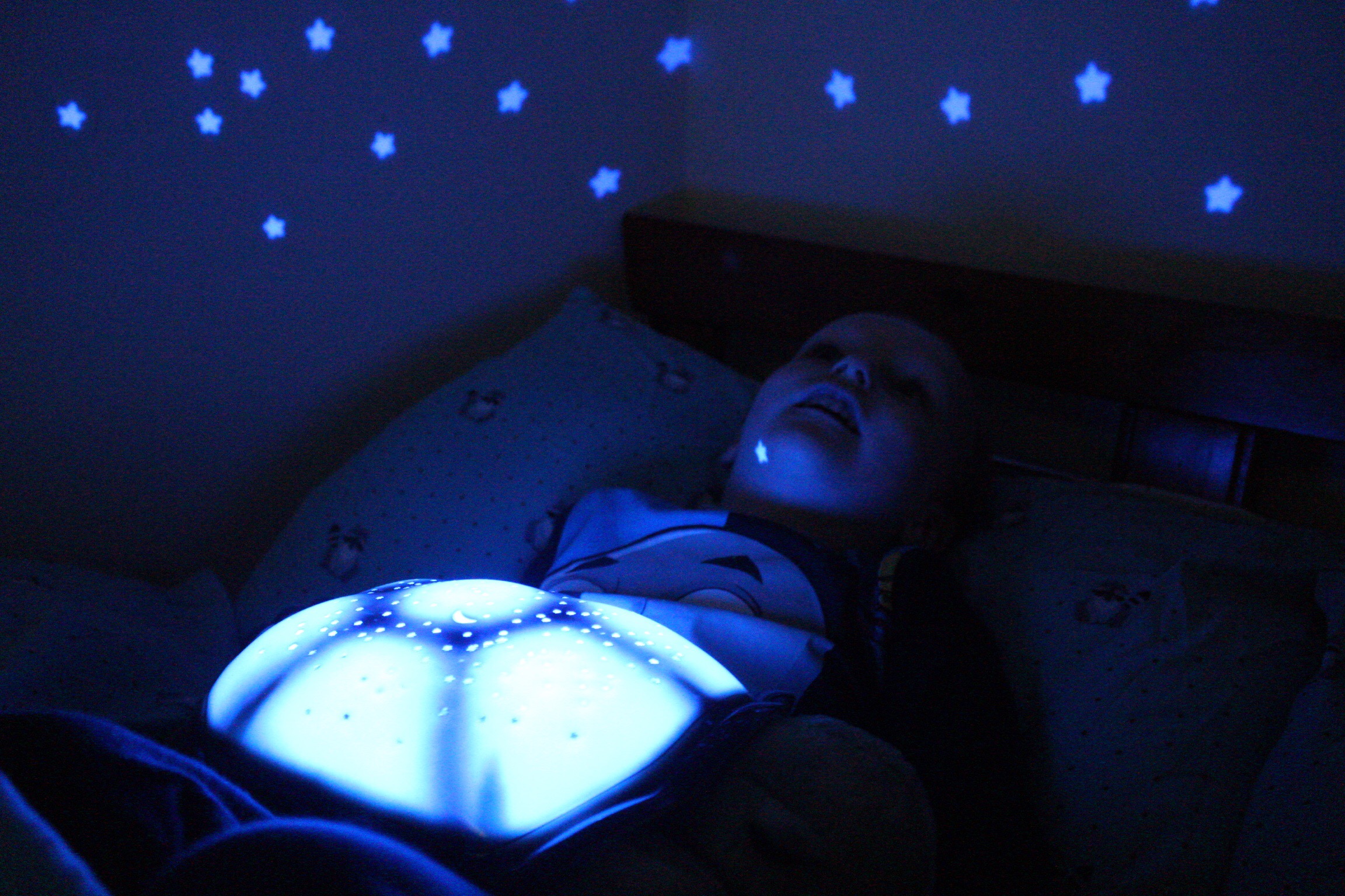 A turtle nightlight in use shining blue in the room. 