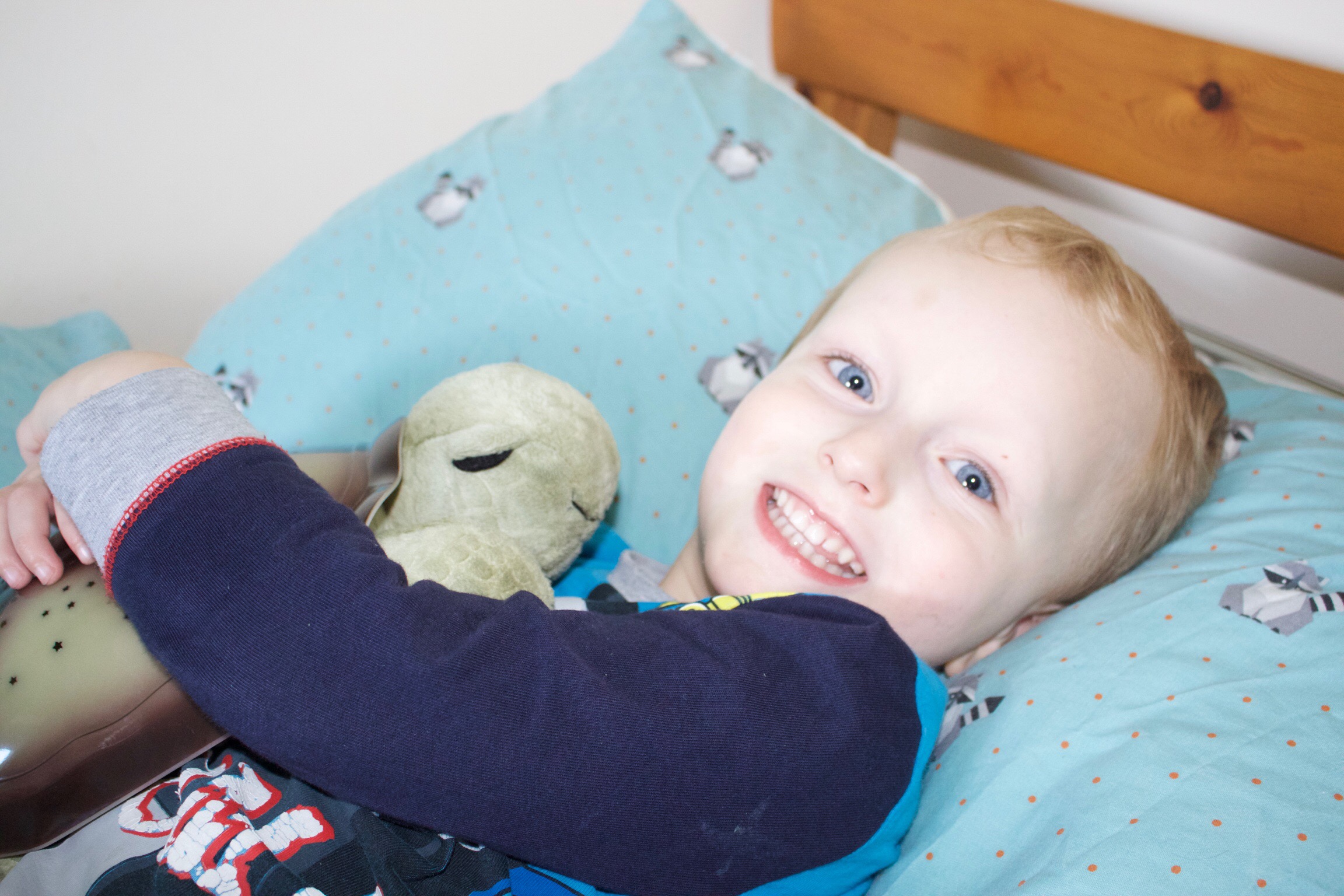 A blonde haired 4 year old boy with a big smile hugs a turtle toy in his bed. 