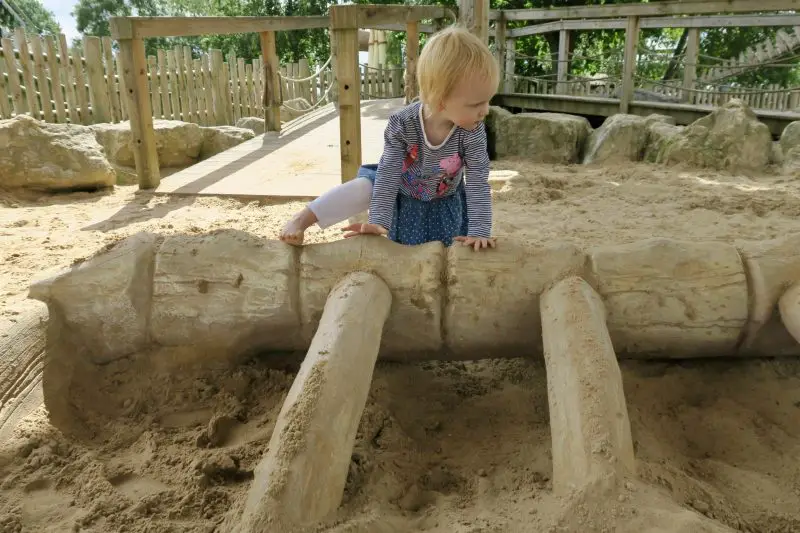 A 2 year old girl climbing over a 'dinosaur skeleton' in the Flamingo Land dino sandpit