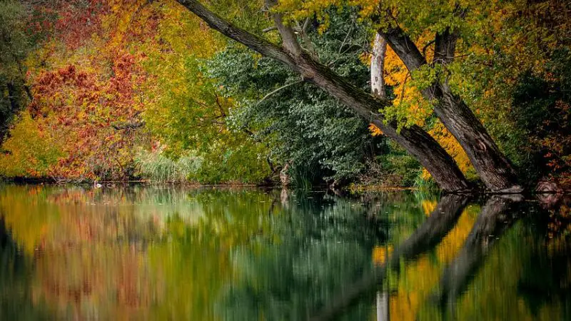 8 reasons to get excited about autumn