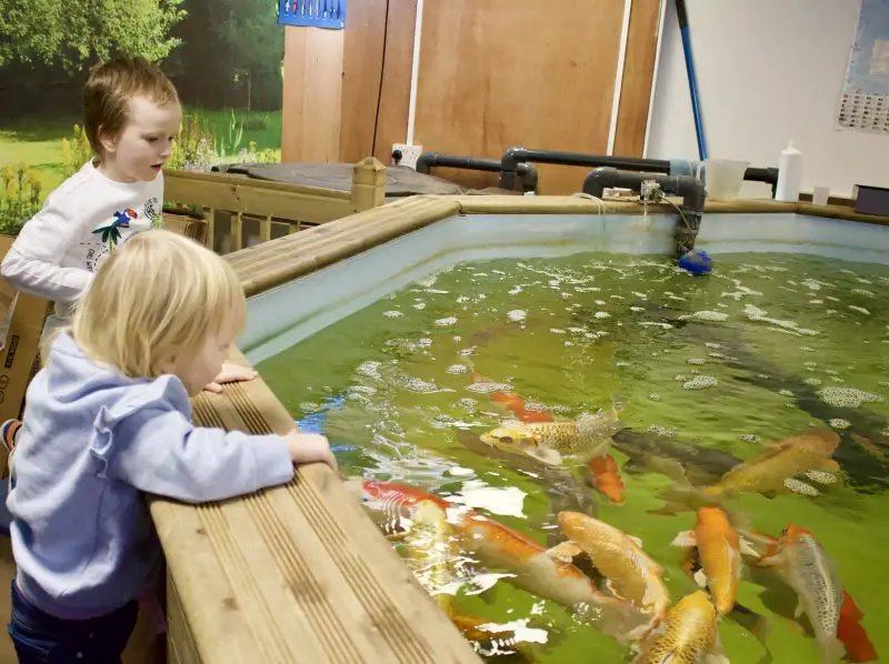 Heighley Gate Breakfast with the Easter Bunny - aquatic shop