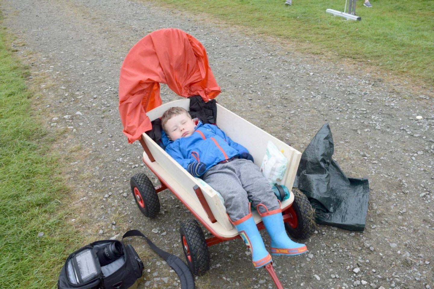 Festival wagons for kids - are they a good idea and which are the best?