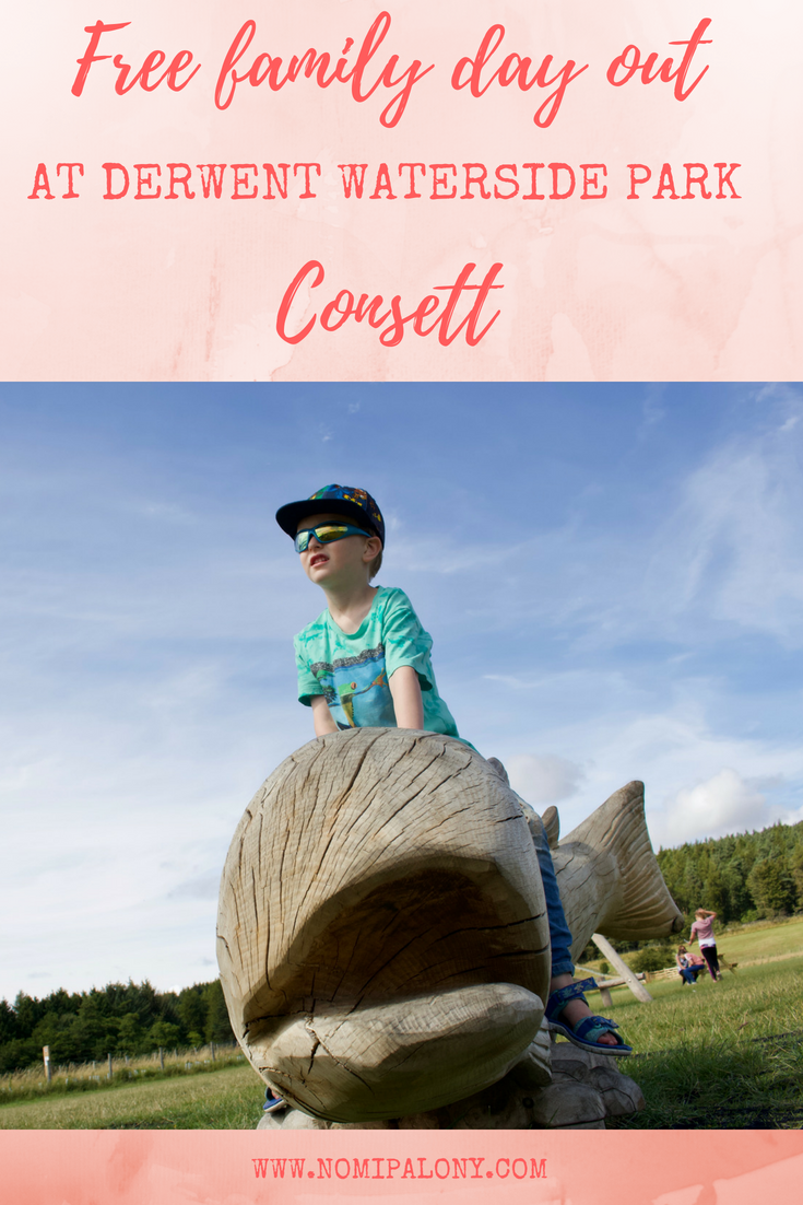 Free family day out at Derwent Waterside Park, Consett