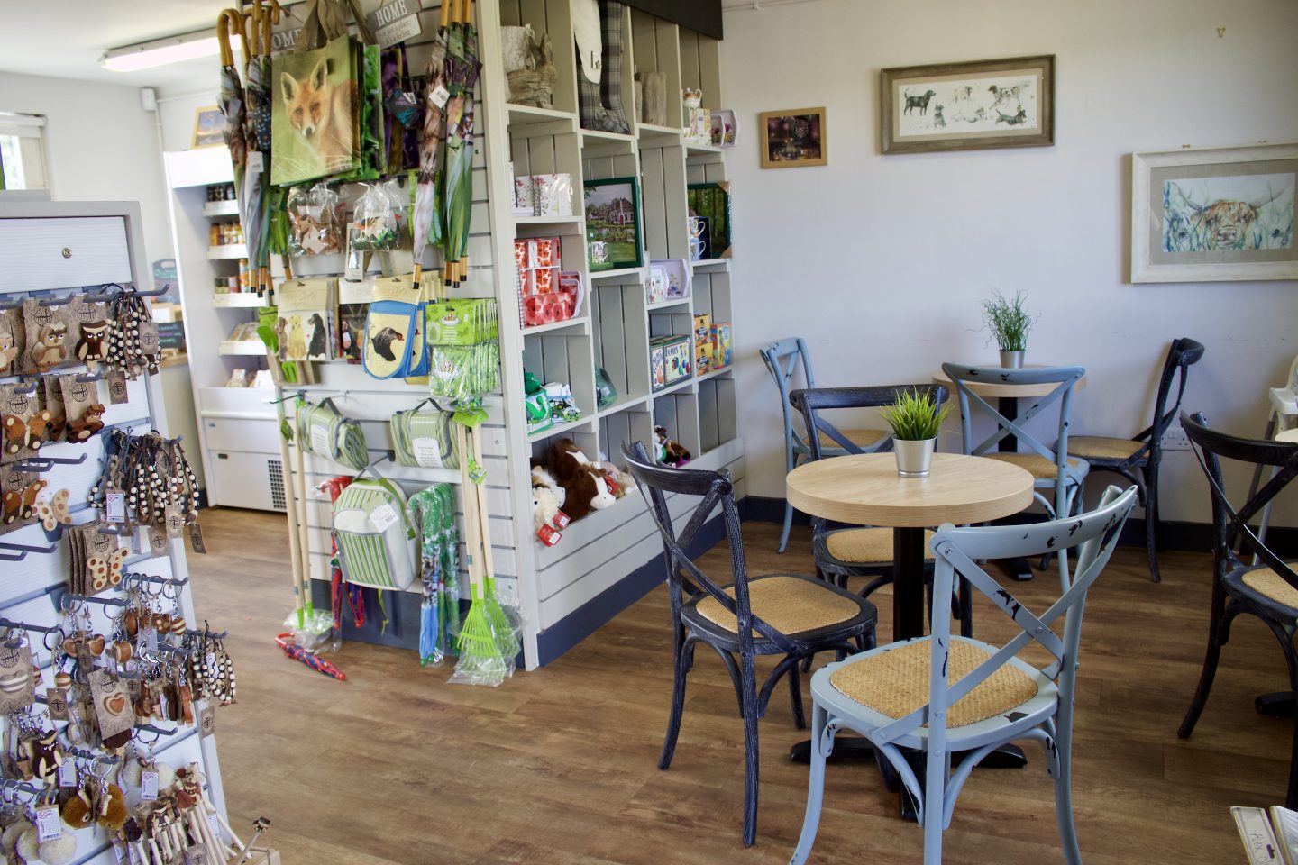 A cafe showing a few small tables and merchandise to buy