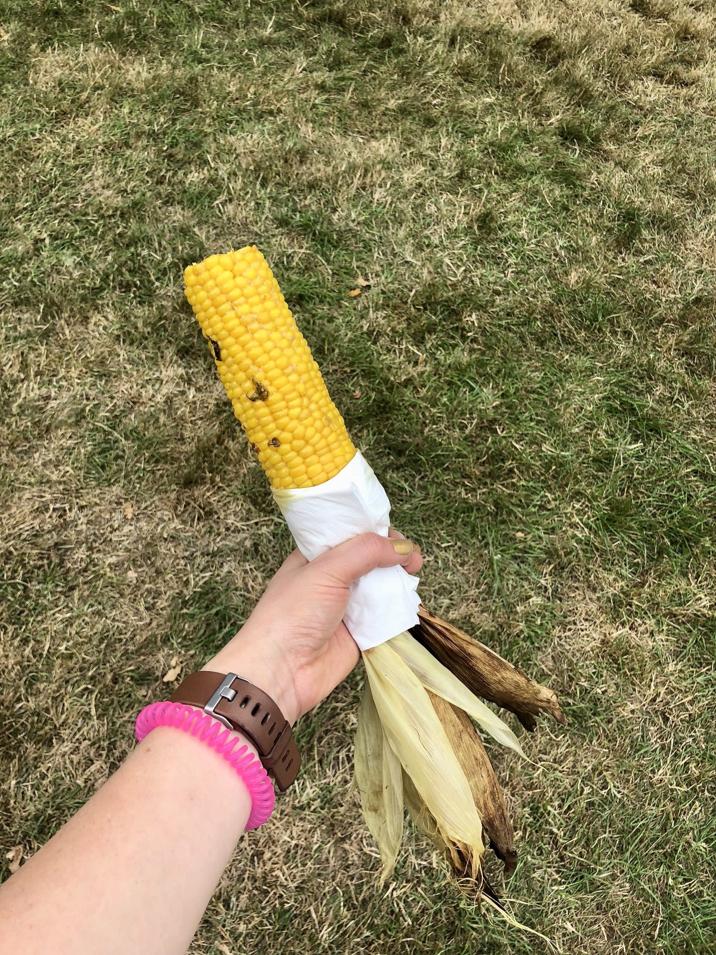 Just So Festival 2018 review and our top tips for Just So Festival - corn