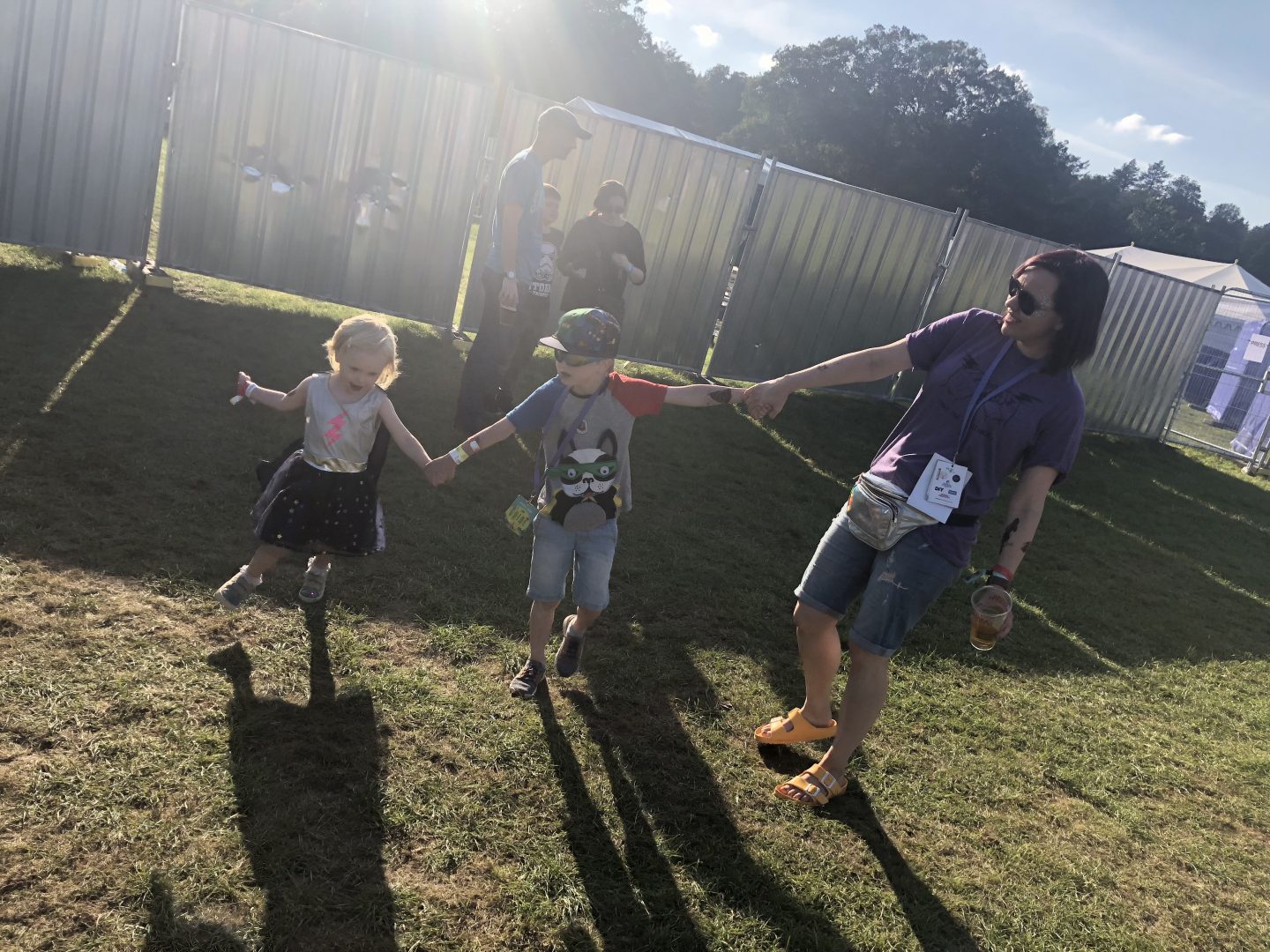 Electric Fields 2018 - family review 