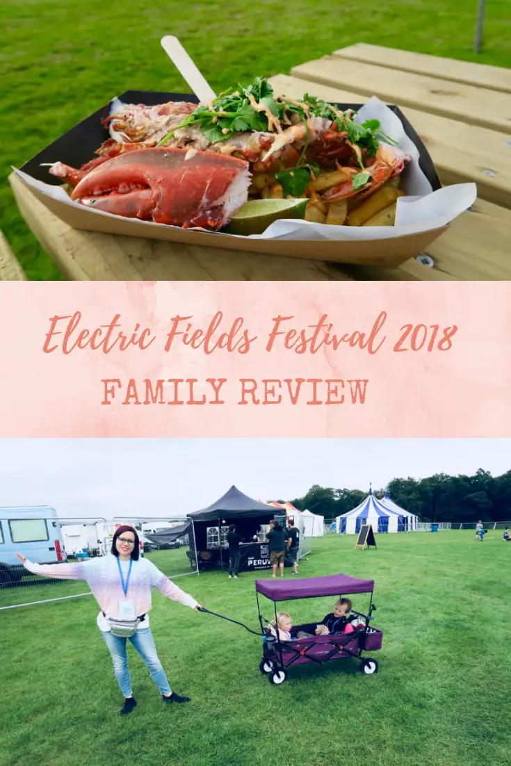 Electric Fields Festival 2018 - review for families