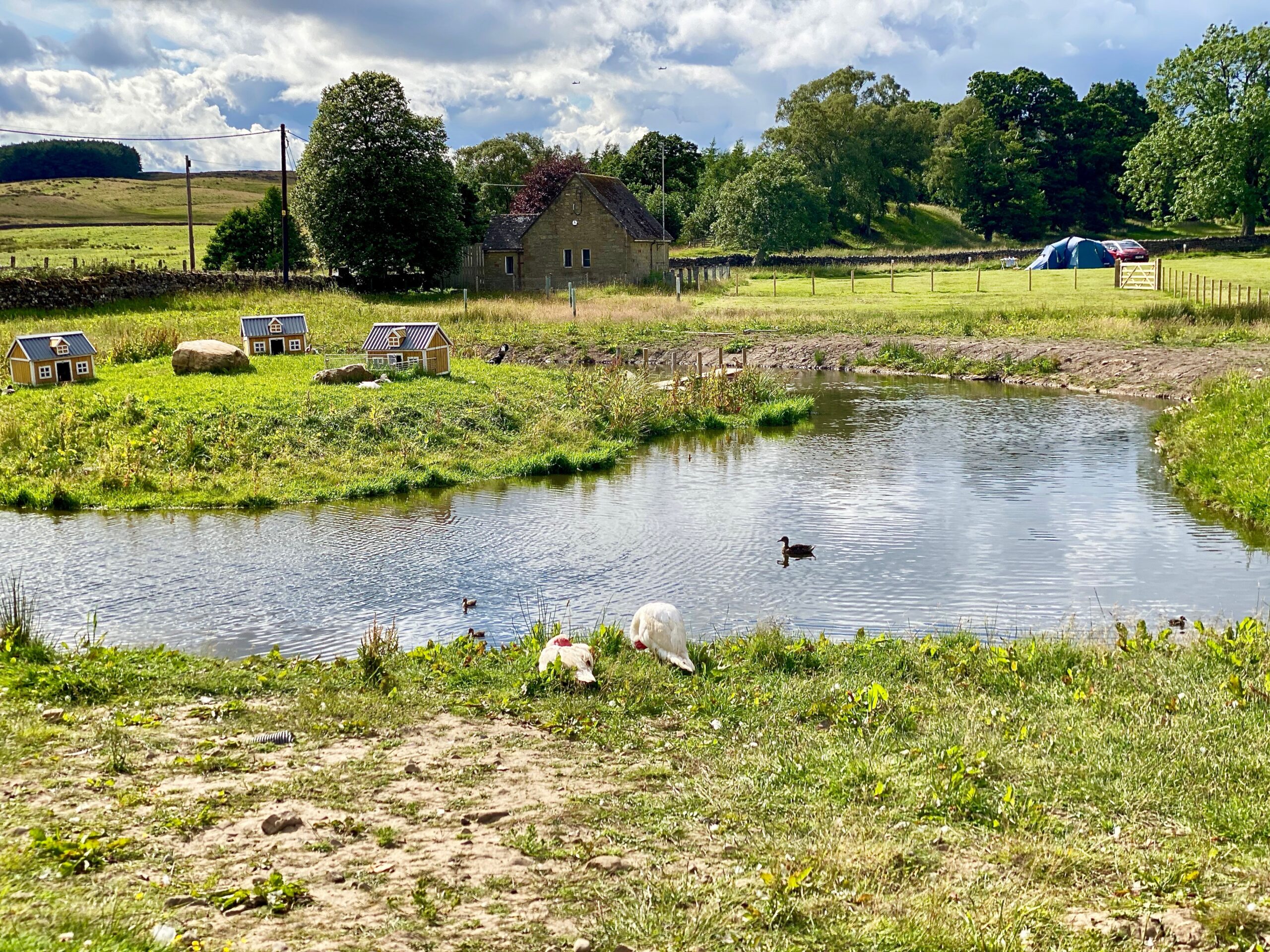 The Boe Rigg campsite review 2 nights camping at Bellingham